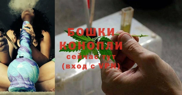винт Лиски