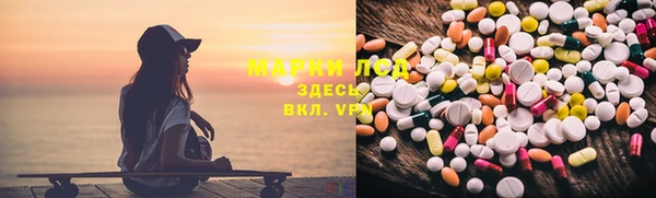 спиды Магас
