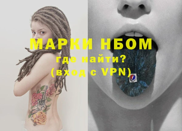спиды Магас