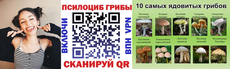 Галлюциногенные грибы MAGIC MUSHROOMS  Надым 